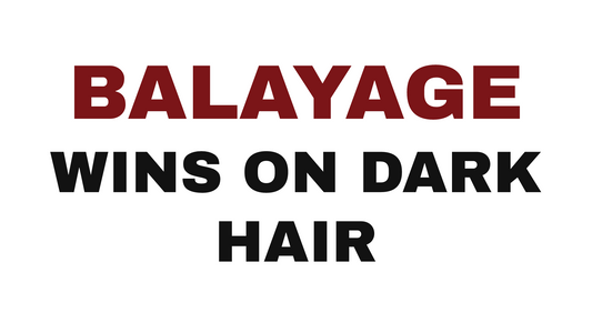 Balayage vs. ombré on dark hair at Artisan Hair Salon, Cary NC.